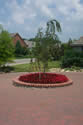 Landscape Design by Steele's Landscapes
