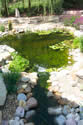 Landscape Design by Steele's Landscapes